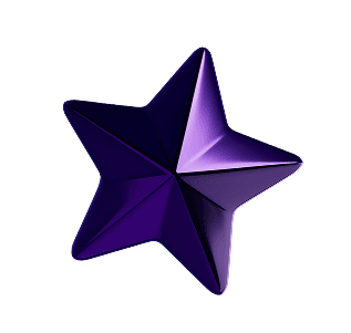 3D rendered purple star representing Omnis